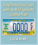 Click here to Support the Coast with an NCCF License Plate